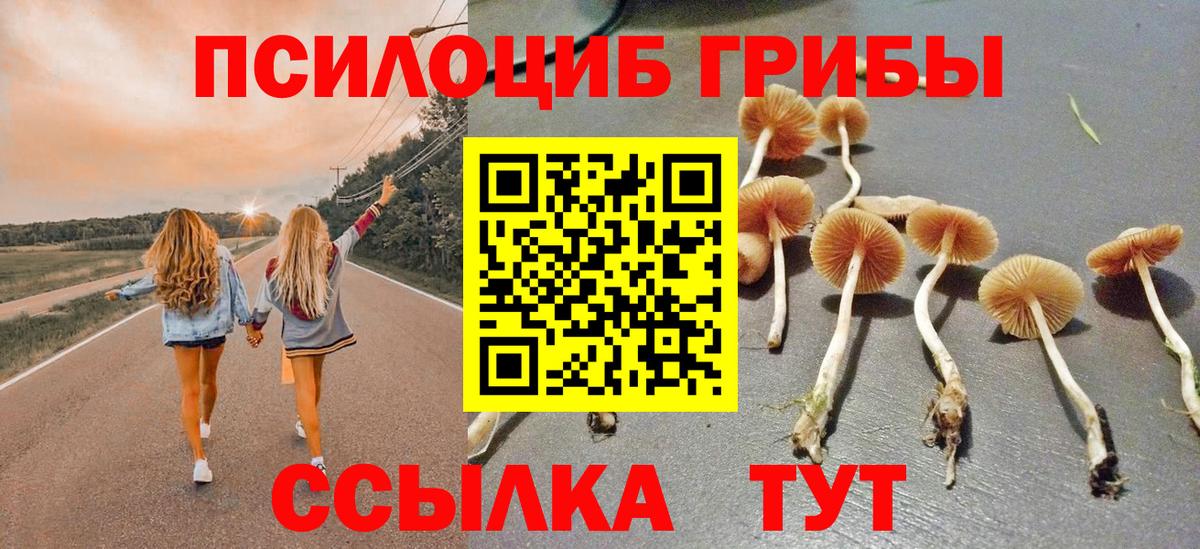 Семилуки  Галлюциногенные грибы мухоморы  Галлюциногенные грибы MAGIC MUSHROOMS  наркотики  Вход с VPN 