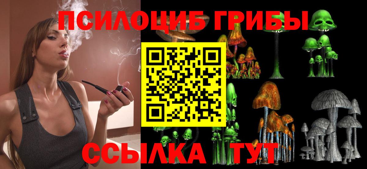 Псилоцибиновые грибы Cubensis Семилуки
